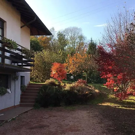 Perros Hermanos Bed and breakfast Travedona